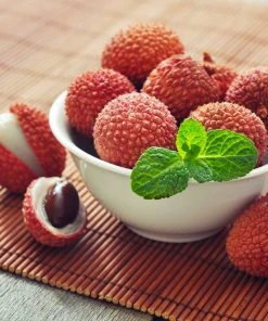 Brighter Blooms Lychee Tree 9 Brighter Blooms Lychee Tree