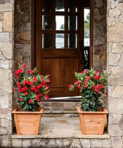 Brighter Blooms Mandevilla 'Crimson Red' Vine