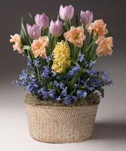 Brighter Blooms SHOP ALL Mother's Day Bulb Garden