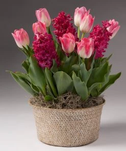 Brighter Blooms Gifts For Her Valentine’s Day Garden With Seagrass Pot