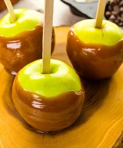 Brighter Blooms Apples Trees Mutsu Apple Tree 8 Brighter Blooms Apples Trees Mutsu Apple Tree