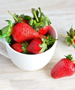 Brighter Blooms Maxim Strawberry Plant 7 Brighter Blooms Maxim Strawberry Plant