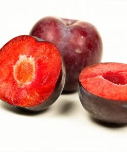 Brighter Blooms Fruit Trees Methley Plum Tree 10 Brighter Blooms Fruit Trees Methley Plum Tree