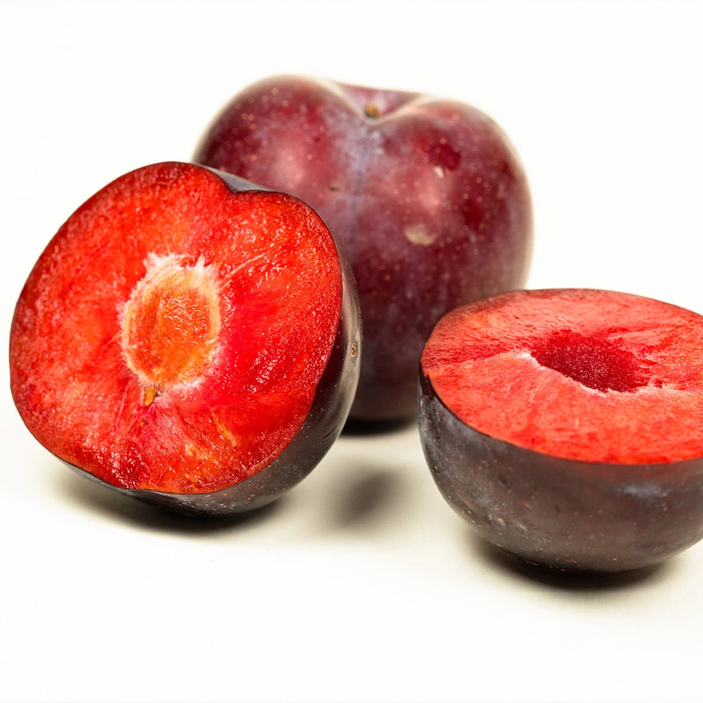 Brighter Blooms Fruit Trees Methley Plum Tree 5 Brighter Blooms Fruit Trees Methley Plum Tree