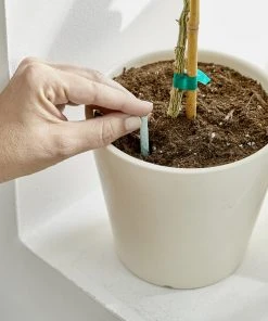 Brighter Blooms Fertilizers & Soil Additives MiracleGro - Houseplant Spikes 11 Brighter Blooms Fertilizers & Soil Additives MiracleGro - Houseplant Spikes