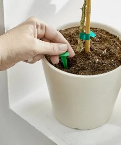 Brighter Blooms Fertilizers & Soil Additives MiracleGro - Houseplant Spikes 12 Brighter Blooms Fertilizers & Soil Additives MiracleGro - Houseplant Spikes