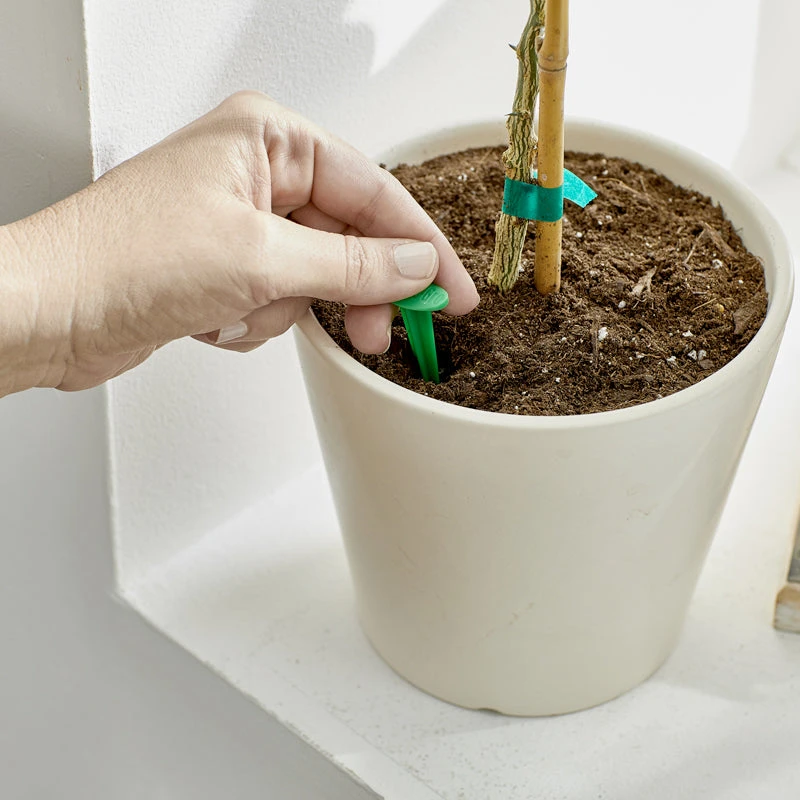 Brighter Blooms Fertilizers & Soil Additives MiracleGro - Houseplant Spikes 4 Brighter Blooms Fertilizers & Soil Additives MiracleGro - Houseplant Spikes