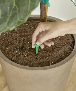 Brighter Blooms Fertilizers & Soil Additives MiracleGro - Houseplant Spikes 14 Brighter Blooms Fertilizers & Soil Additives MiracleGro - Houseplant Spikes