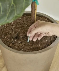 Brighter Blooms Fertilizers & Soil Additives MiracleGro - Houseplant Spikes 15 Brighter Blooms Fertilizers & Soil Additives MiracleGro - Houseplant Spikes