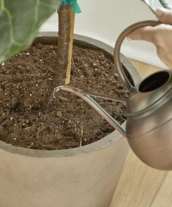 Brighter Blooms Fertilizers & Soil Additives MiracleGro - Houseplant Spikes 16 Brighter Blooms Fertilizers & Soil Additives MiracleGro - Houseplant Spikes