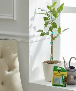 Brighter Blooms Fertilizers & Soil Additives MiracleGro - Houseplant Spikes 17 Brighter Blooms Fertilizers & Soil Additives MiracleGro - Houseplant Spikes