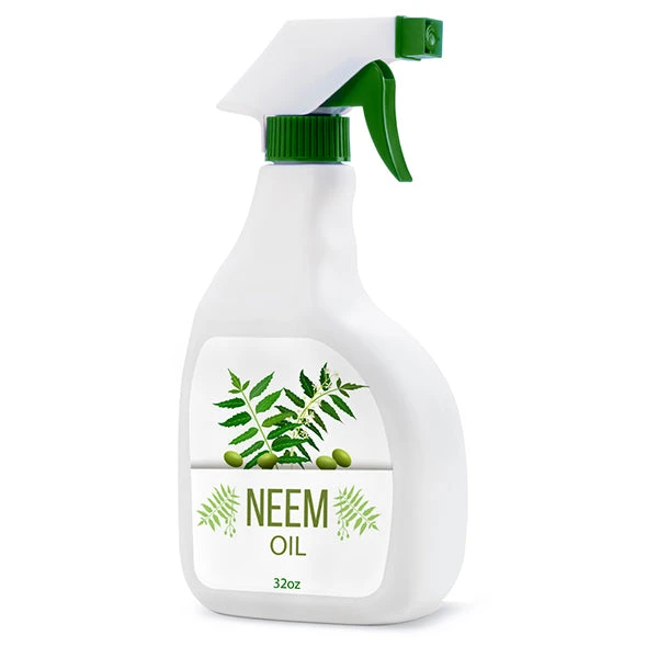 Brighter Blooms Neem Oil Pest & Disease Control 1 Brighter Blooms Neem Oil Pest & Disease Control