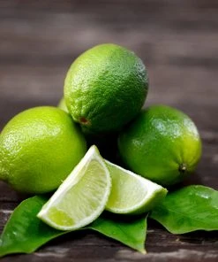 Brighter Blooms Persian 'Bearss' Lime Bush 7 Brighter Blooms Persian 'Bearss' Lime Bush