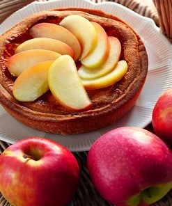 Brighter Blooms Apples Trees Pink Lady Apple Tree 9 Brighter Blooms Apples Trees Pink Lady Apple Tree