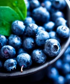 Brighter Blooms Fruit Trees Powderblue Blueberry Bush 8 Brighter Blooms Fruit Trees Powderblue Blueberry Bush