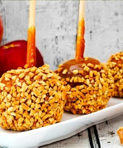 Brighter Blooms Red Delicious Apple Tree 9 Brighter Blooms Red Delicious Apple Tree