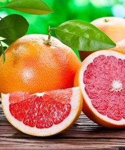 Brighter Blooms Ruby Red Grapefruit Tree 7 Brighter Blooms Ruby Red Grapefruit Tree