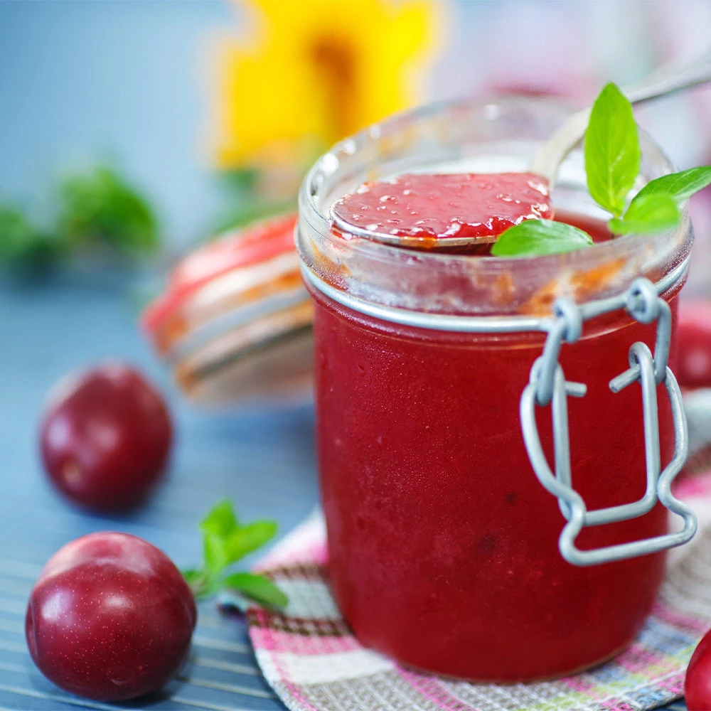 Brighter Blooms Santa Rosa Plum Tree 5 Brighter Blooms Santa Rosa Plum Tree