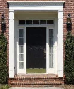 Brighter Blooms Evergreen & Privacy Sky Pencil Holly Tree 10 Brighter Blooms Evergreen & Privacy Sky Pencil Holly Tree