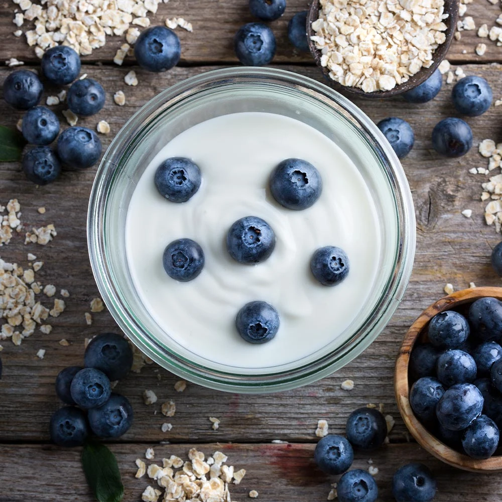 Brighter Blooms Blueberry Bushes Spartan Blueberry Bush 5 Brighter Blooms Blueberry Bushes Spartan Blueberry Bush