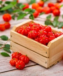 Brighter Blooms Star Cherry Tree (Pitanga)