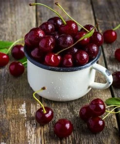 Brighter Blooms Stella Cherry Tree 6 Brighter Blooms Stella Cherry Tree