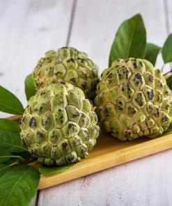 Brighter Blooms Sugar Apple Tree Fruit Trees 7 Brighter Blooms Sugar Apple Tree Fruit Trees