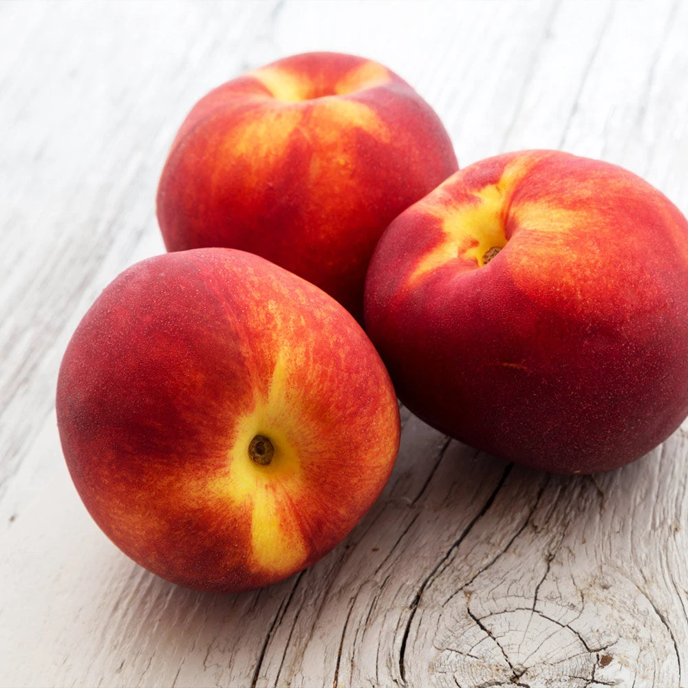 Brighter Blooms Sunglo Nectarine Fruit Trees 3 Brighter Blooms Sunglo Nectarine Fruit Trees