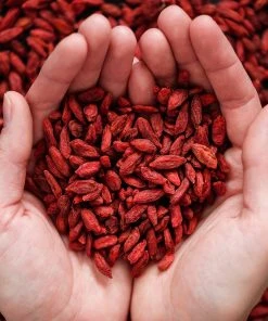 Brighter Blooms Fruit Trees Healthy Superfoods Kit 11 Brighter Blooms Fruit Trees Healthy Superfoods Kit