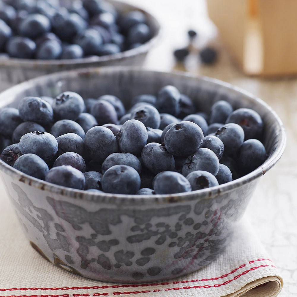 Brighter Blooms Sweetheart Blueberry Bush 3 Brighter Blooms Sweetheart Blueberry Bush