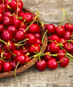 Brighter Blooms Sweetheart Cherry Tree 6 Brighter Blooms Sweetheart Cherry Tree