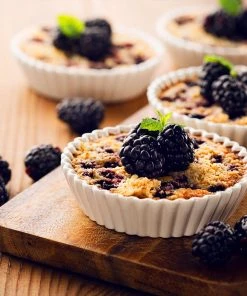 Brighter Blooms Fruit Trees Thornless Blackberry Bush 6 Brighter Blooms Fruit Trees Thornless Blackberry Bush