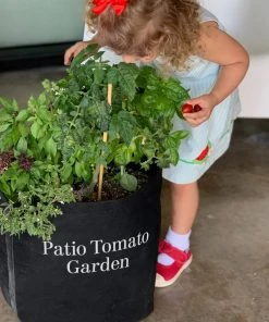 Brighter Blooms House & Patio Patio Tomato Garden 9 Brighter Blooms House & Patio Patio Tomato Garden