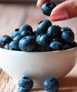 Brighter Blooms Blueberry Bushes Top Hat Blueberry Bush 8 Brighter Blooms Blueberry Bushes Top Hat Blueberry Bush