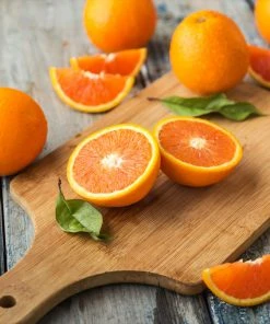 Brighter Blooms Valencia Orange Tree 11 Brighter Blooms Valencia Orange Tree