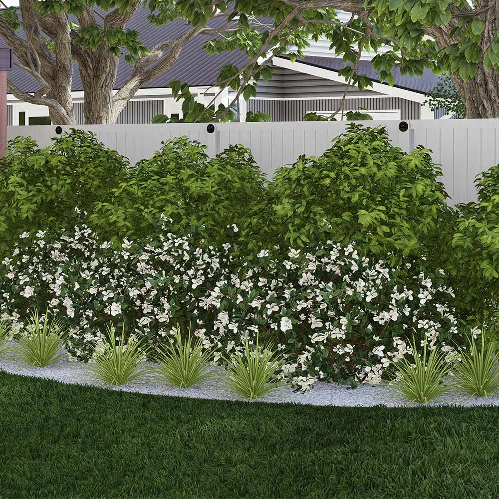 Brighter Blooms Warm-Climate Shade Garden Kit Shrubs & Hedges 2 Brighter Blooms Warm-Climate Shade Garden Kit Shrubs & Hedges