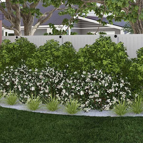 Brighter Blooms Warm-Climate Shade Garden Kit Shrubs & Hedges 1 Brighter Blooms Warm-Climate Shade Garden Kit Shrubs & Hedges