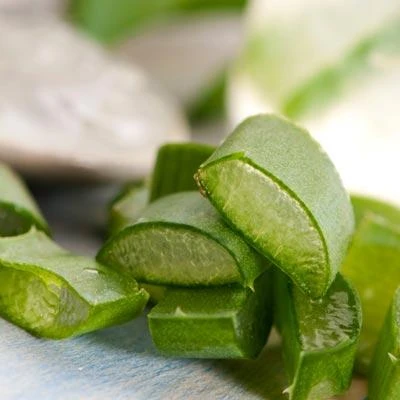 Brighter Blooms Aloe Vera Plant House & Patio 3 Brighter Blooms Aloe Vera Plant House & Patio