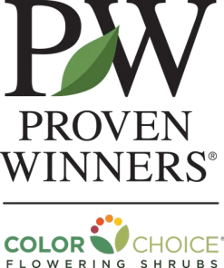 Brighter Blooms My Monet Weigela Shrub