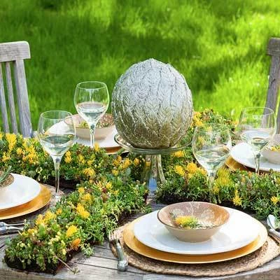 Brighter Blooms Sedum Tile SHOP ALL 3 Brighter Blooms Sedum Tile SHOP ALL