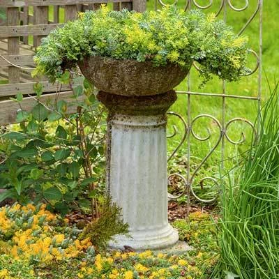 Brighter Blooms Sedum Tile SHOP ALL 2 Brighter Blooms Sedum Tile SHOP ALL