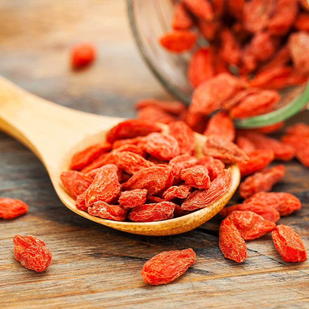 Brighter Blooms Sweet Lifeberry® Goji Berry Plant SHOP ALL 6 Brighter Blooms Sweet Lifeberry® Goji Berry Plant SHOP ALL